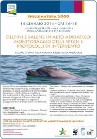 delfini e balene trieste