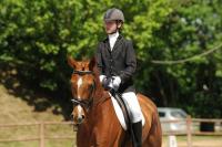 foto dressage