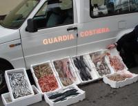 pesce sequestrato