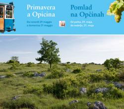 primavera opicina 2015