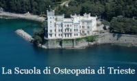 scuola osteopatia trieste