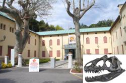 trieste mostra dinosauri 120415