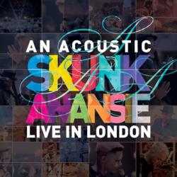 an-acoustic-skunk-anansie