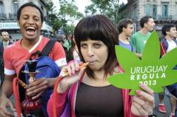 uruguay marijuana